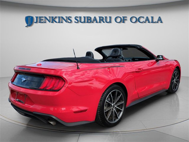 Used 2019 Ford Mustang Premium w/ Equipment Group 201A image 8
