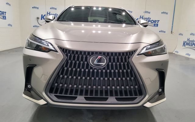 Used 2023 Lexus NX 350 AWD image 6