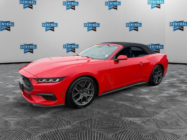 Used 2024 Ford Mustang Premium w/ 2.3L High Performance Package RWD image 10