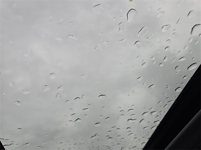 New 2025 Hyundai Elantra Limited image 22