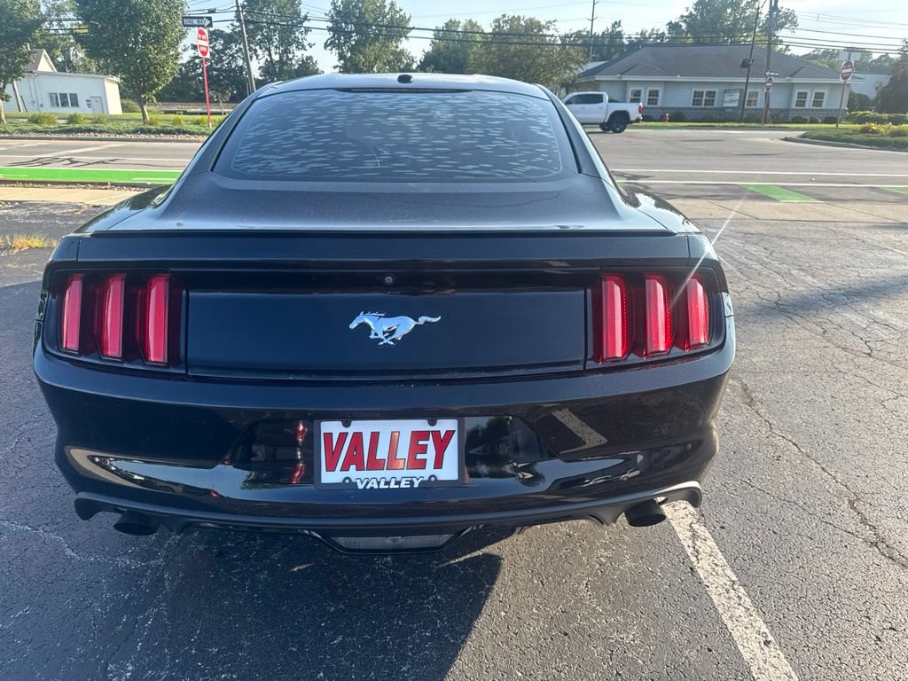 Used 2015 Ford Mustang Premium w/ Equipment Group 201A RWD image 10