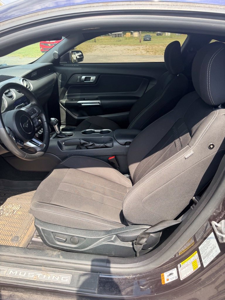Used 2022 Ford Mustang GT w/ Equipment Group 301A RWD image 8