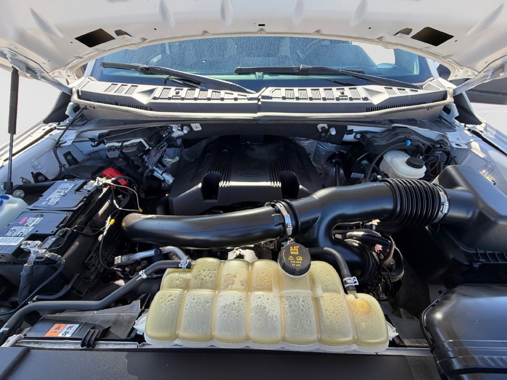Used 2019 Ford F150 XL w/ Equipment Group 101A Mid AWD/4WD image 23