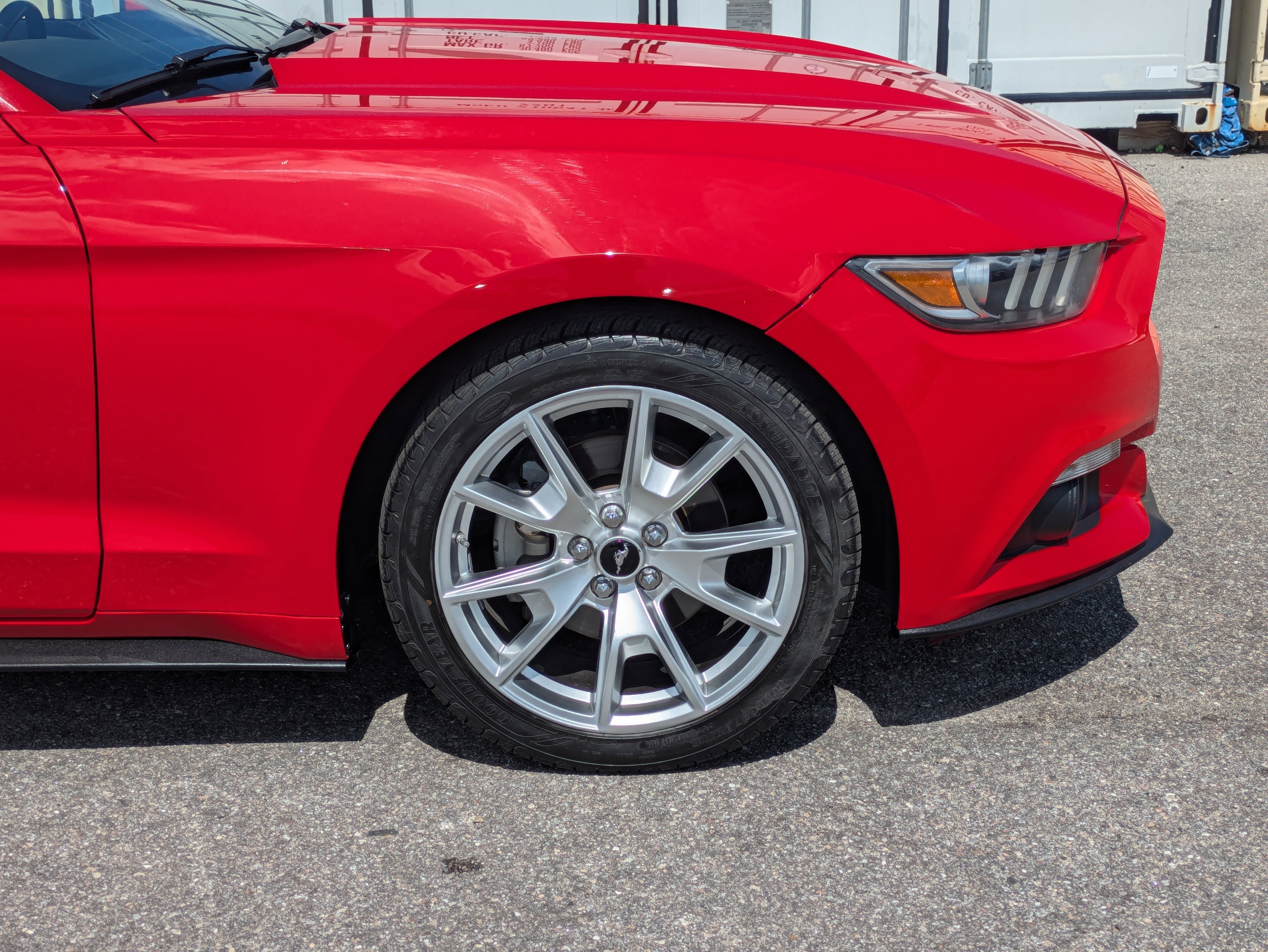 Used 2015 Ford Mustang Premium w/ 50 Years Appearance Package RWD image 11