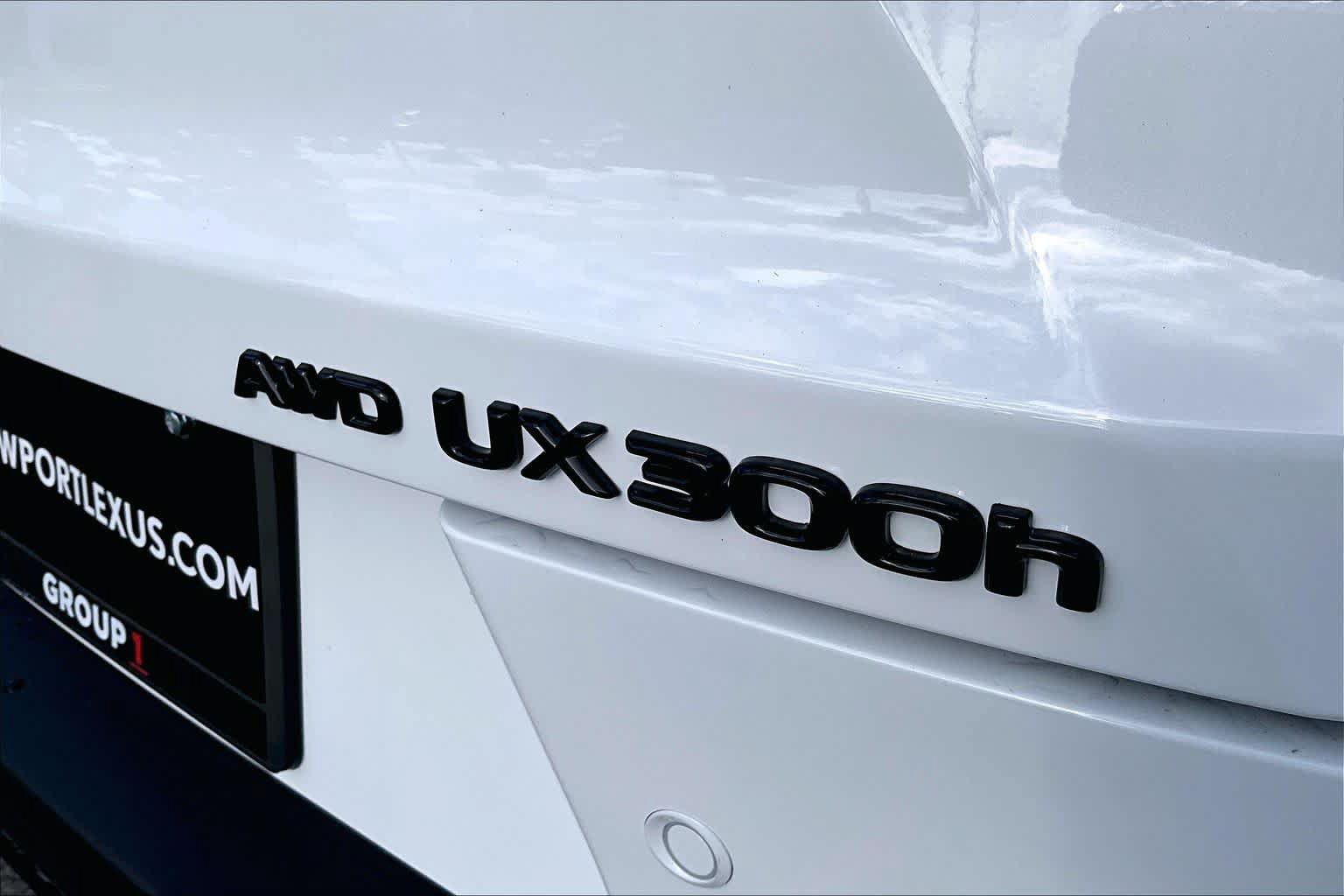 New 2026 Lexus UX 300h AWD w/ Cold Area Package image 8