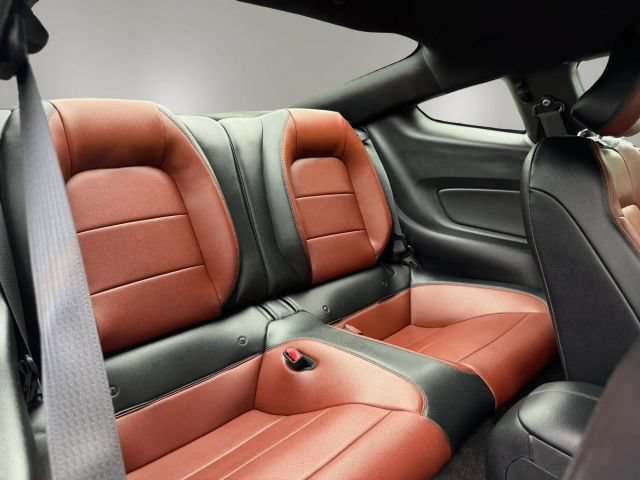 Used 2015 Ford Mustang Premium w/ Equipment Group 201A RWD image 14