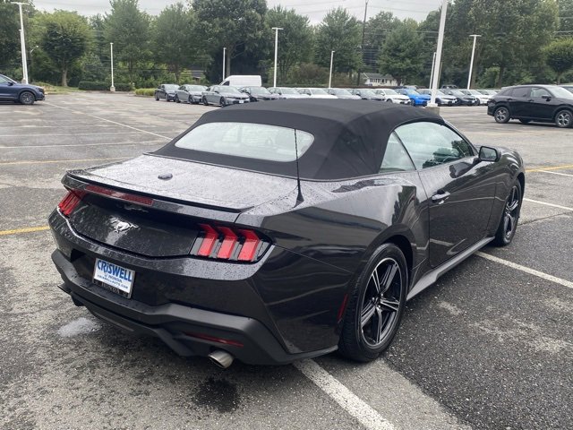 Used 2024 Ford Mustang Premium image 8