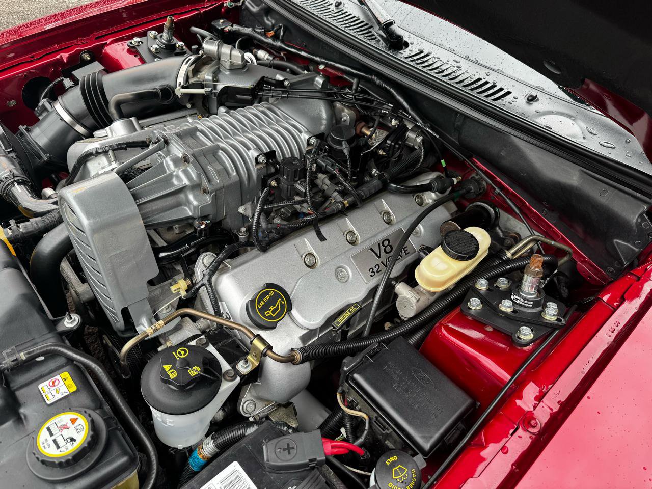Used 2004 Ford Mustang Cobra RWD image 34
