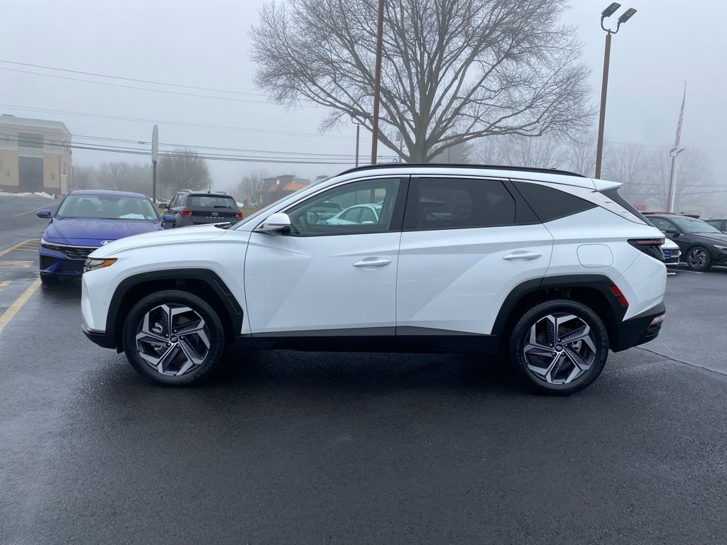 Used 2024 Hyundai Tucson Limited image 7