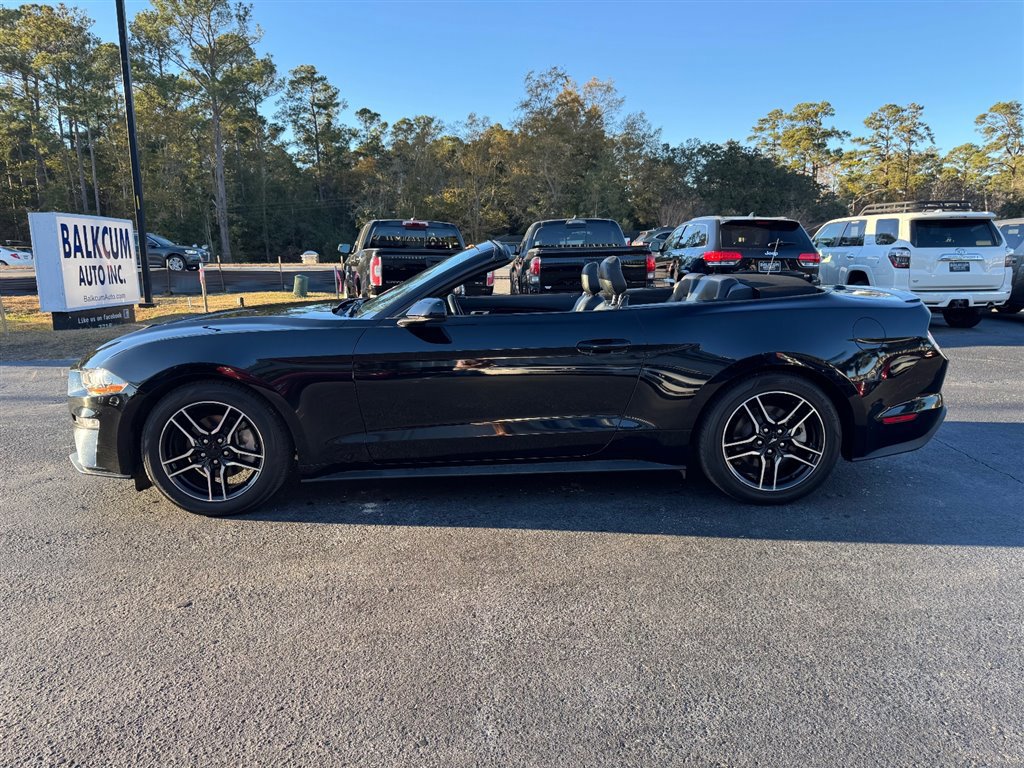 Used 2023 Ford Mustang Premium image 5