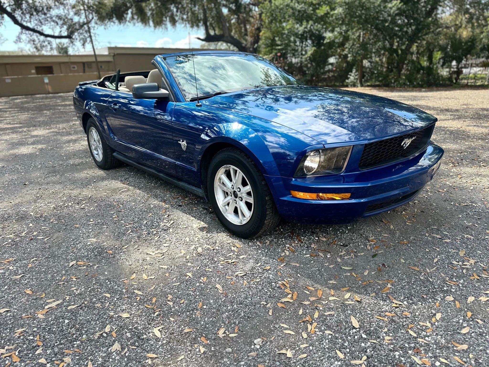 Used 2009 Ford Mustang Deluxe Convertible image 6
