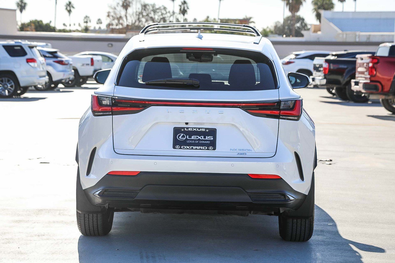 Used 2025 Lexus NX 350h AWD w/ Premium Package image 6