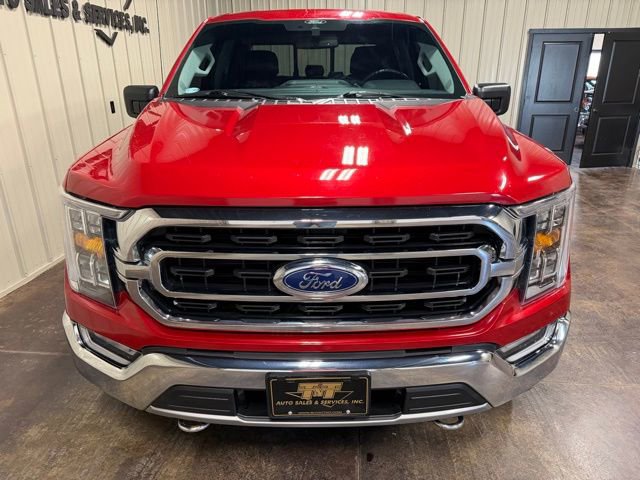 Used 2021 Ford F150 XLT w/ Equipment Group 302A High image 2