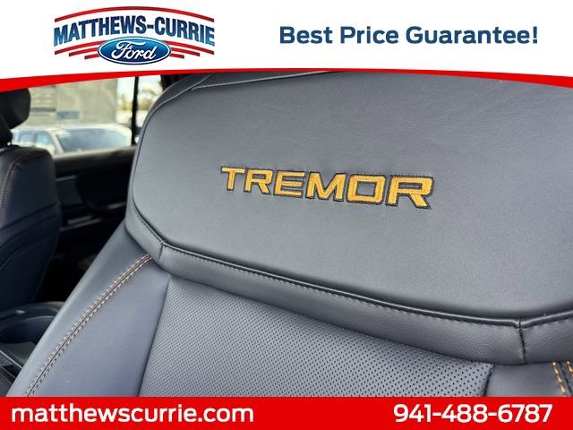 New 2026 Ford Expedition Tremor image 12