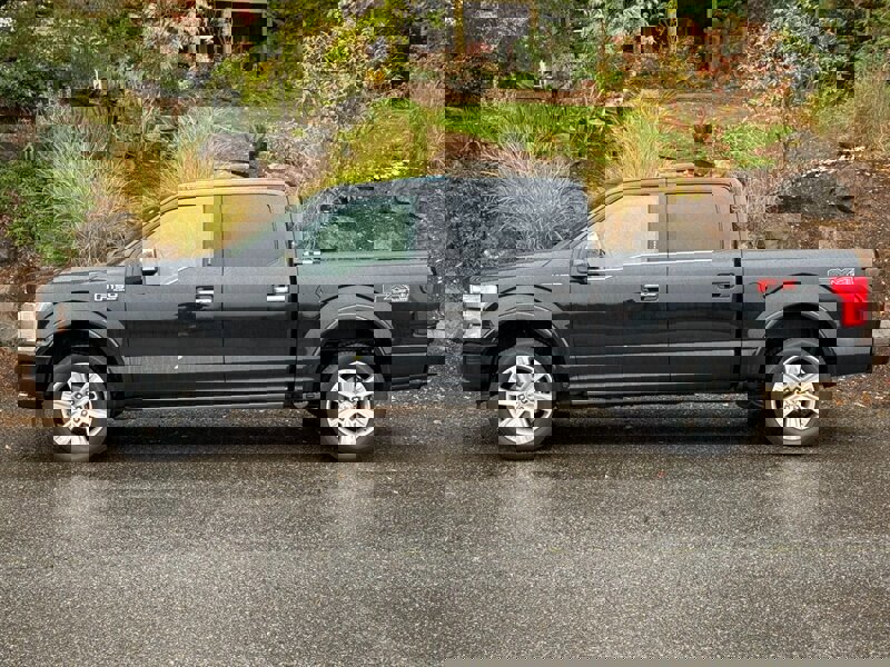 Used 2018 Ford F150 Platinum w/ Equipment Group 701A Luxury image 2