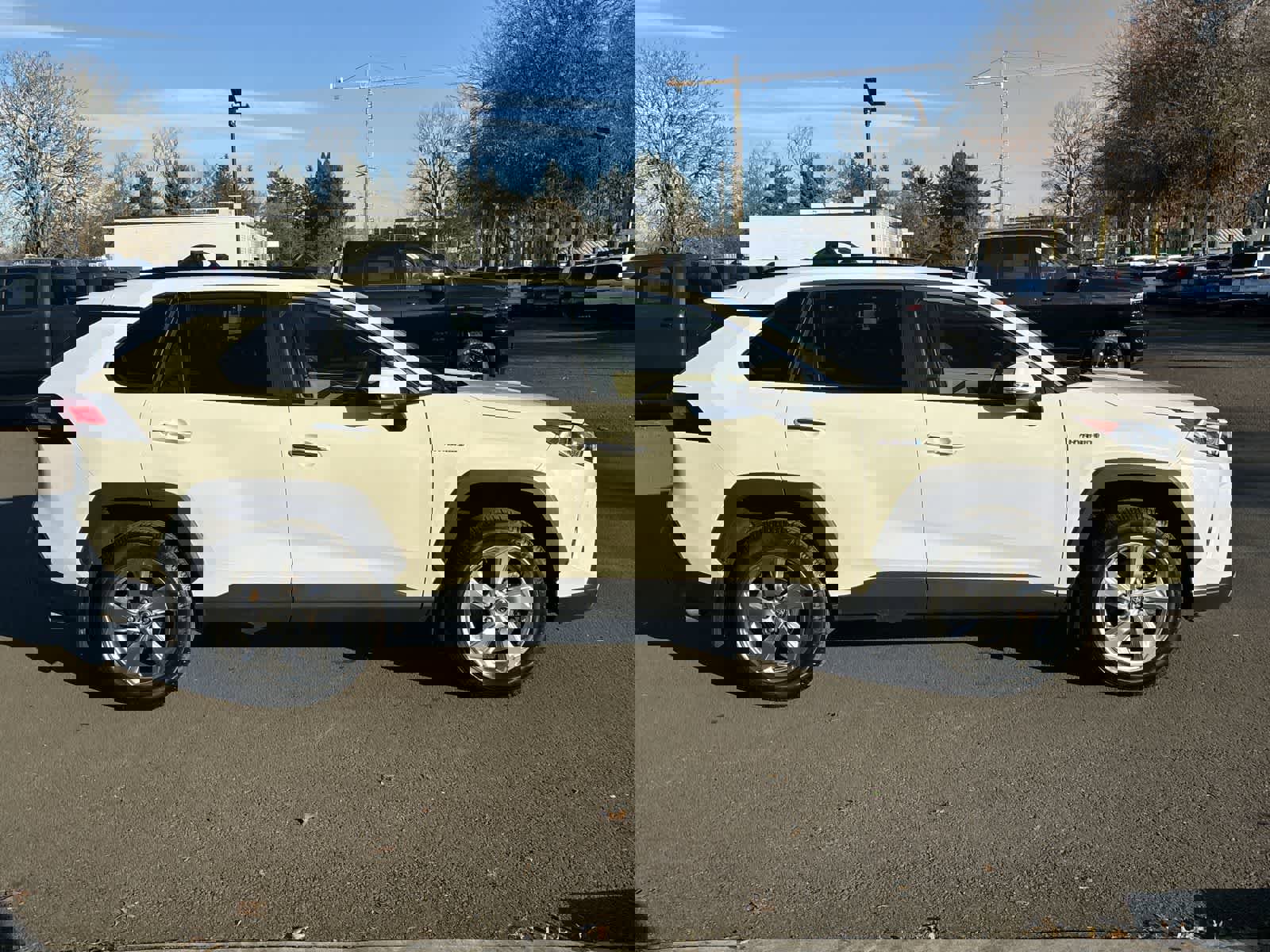 Used 2020 Toyota RAV4 Limited image 6
