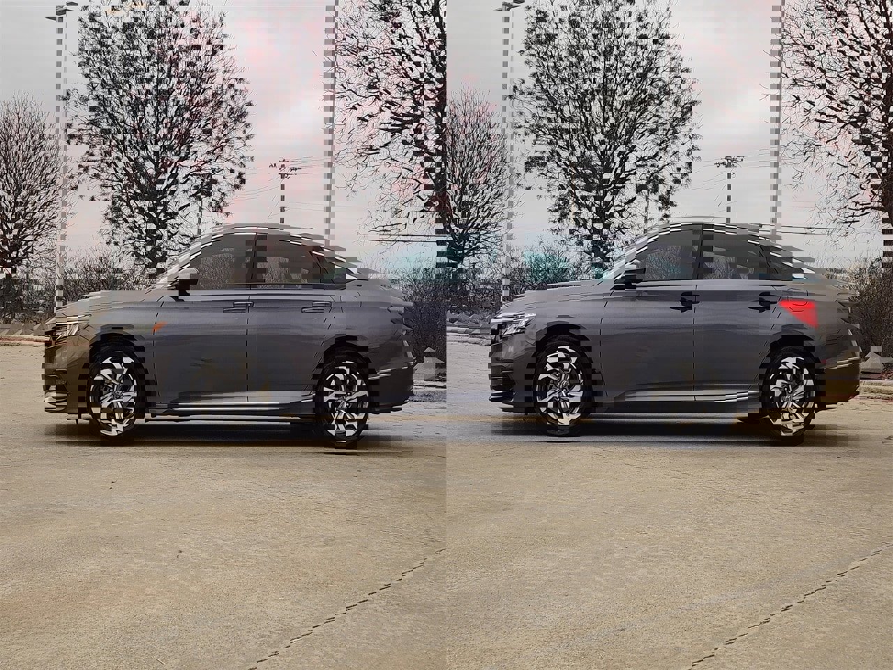 Certified 2019 Honda Accord EX image 4