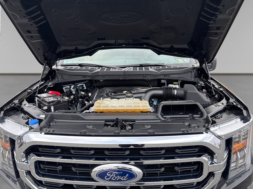 Used 2023 Ford F150 XLT w/ Equipment Group 302A High image 14