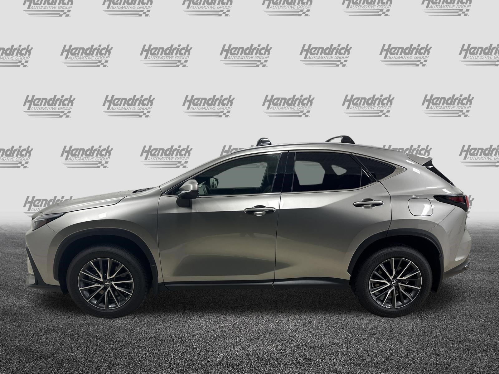 Certified 2024 Lexus NX 350h AWD w/ Cold Area Package image 7