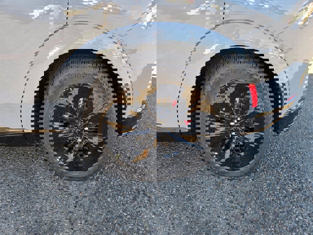 New 2025 Ford Mustang Mach-E GT w/ Interior Protection Package image 9