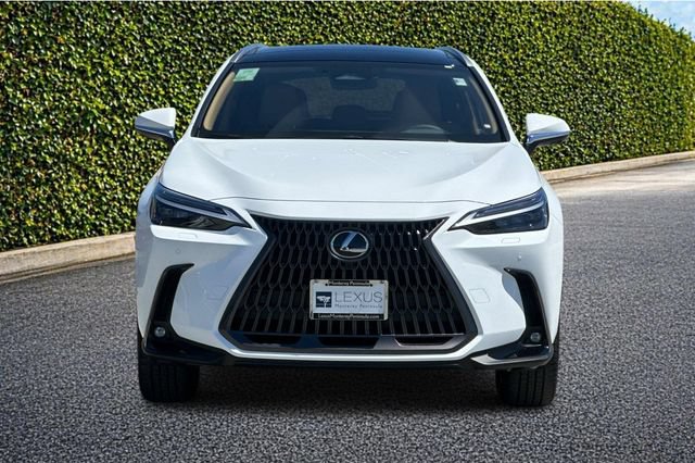 New 2026 Lexus NX 350 AWD w/ Accessory Package (K3) image 3