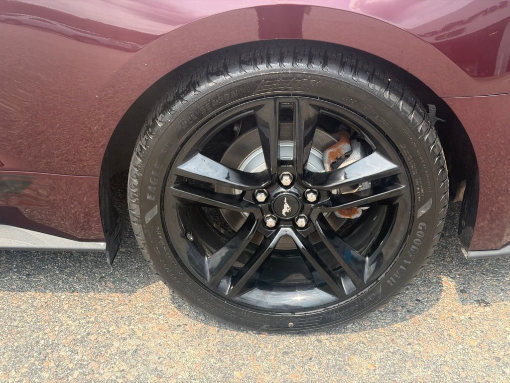 Used 2018 Ford Mustang Premium w/ Equipment Group 201A RWD image 13
