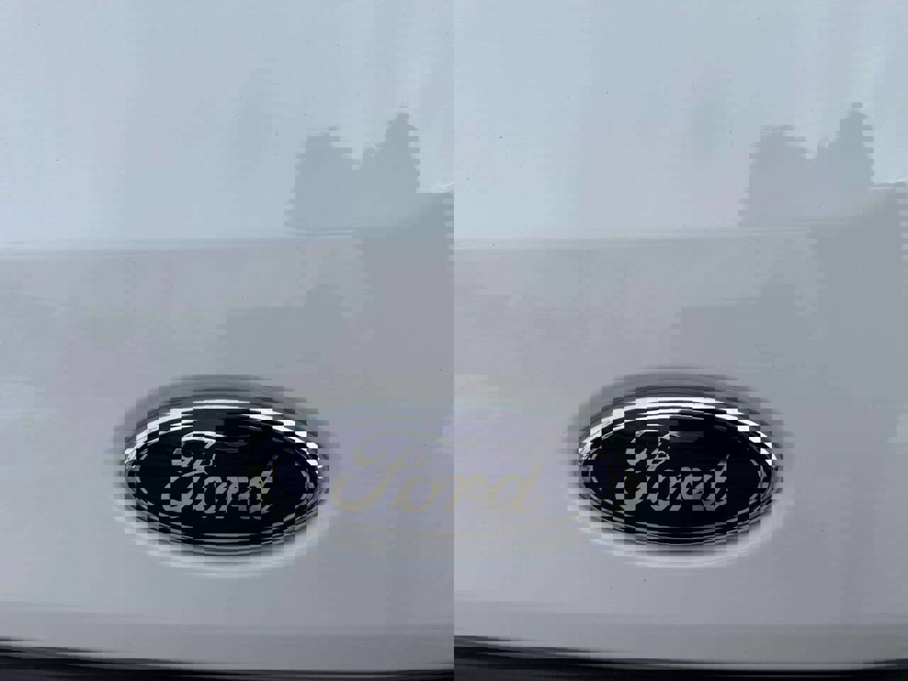 Used 2023 Ford Transit 350 350 3dr SWB Medium Roof Cargo w/ Load Area Protection Package image 20