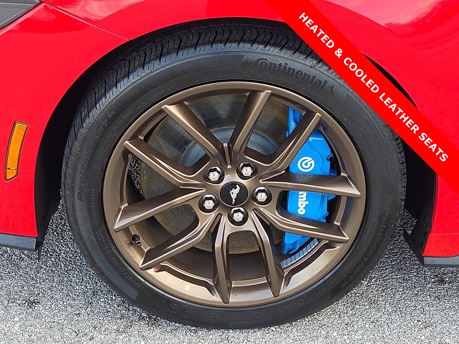 Used 2024 Ford Mustang GT Premium image 7