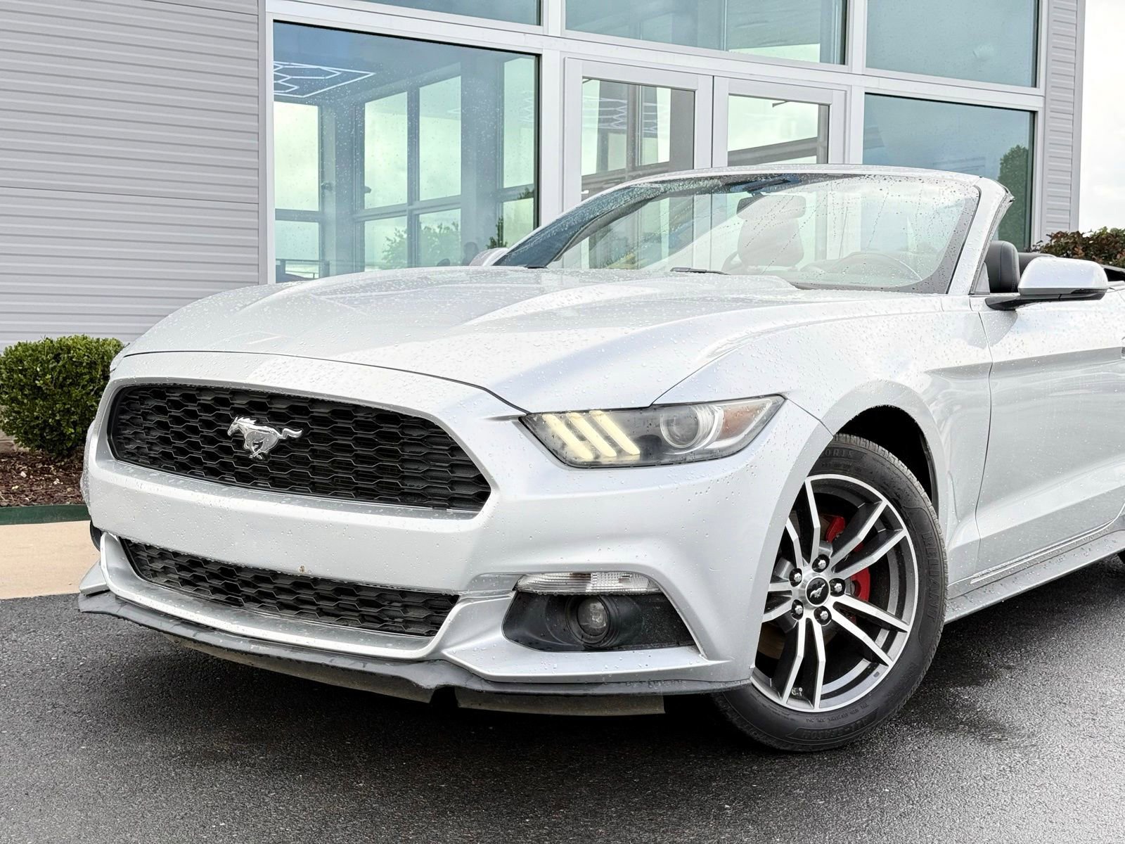 Used 2017 Ford Mustang Premium RWD image 4