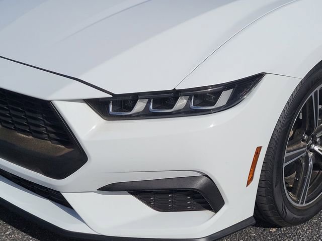 Used 2024 Ford Mustang Premium image 5