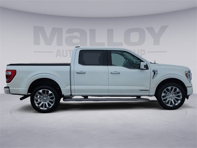Used 2023 Ford F150 Limited image 6