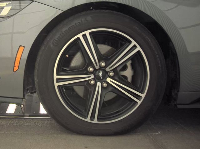 Used 2025 Ford Mustang Coupe RWD image 2
