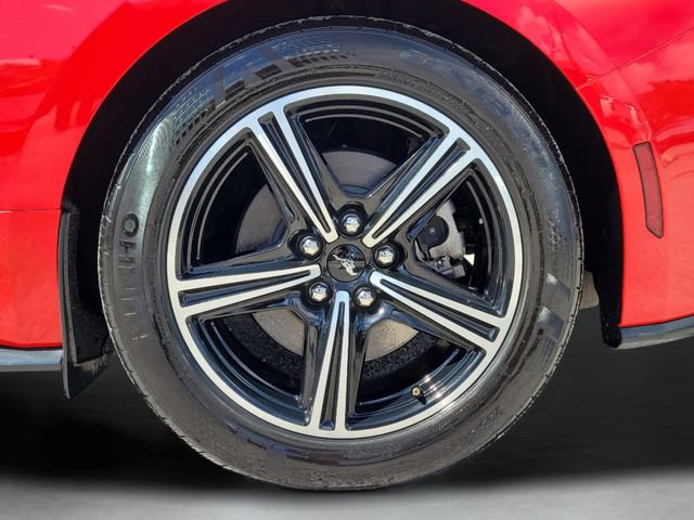 Used 2024 Ford Mustang Premium RWD image 8