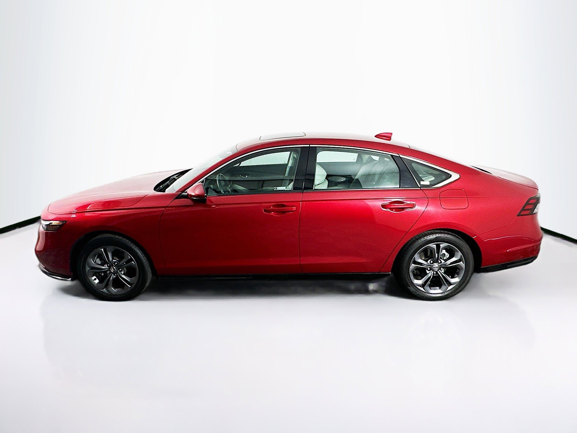 Used 2024 Honda Accord EX-L image 4