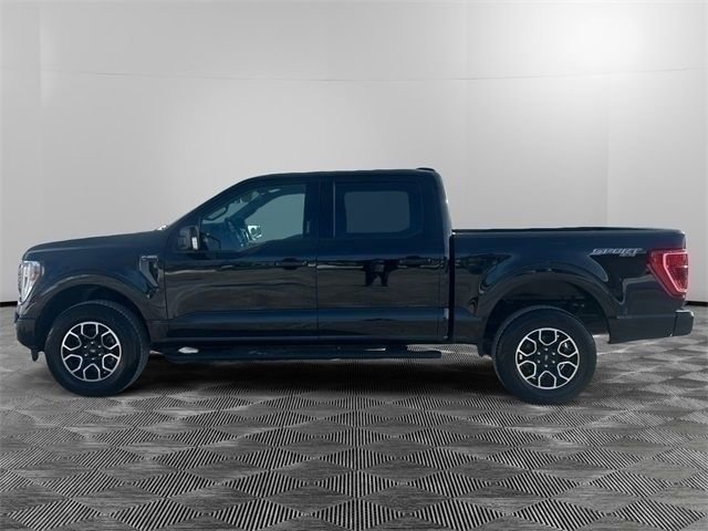 Used 2023 Ford F150 XLT w/ Equipment Group 302A High image 2