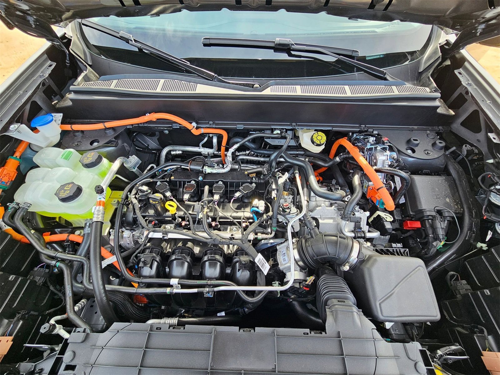 New 2026 Ford Maverick XLT w/ Equipment Group 301A image 21