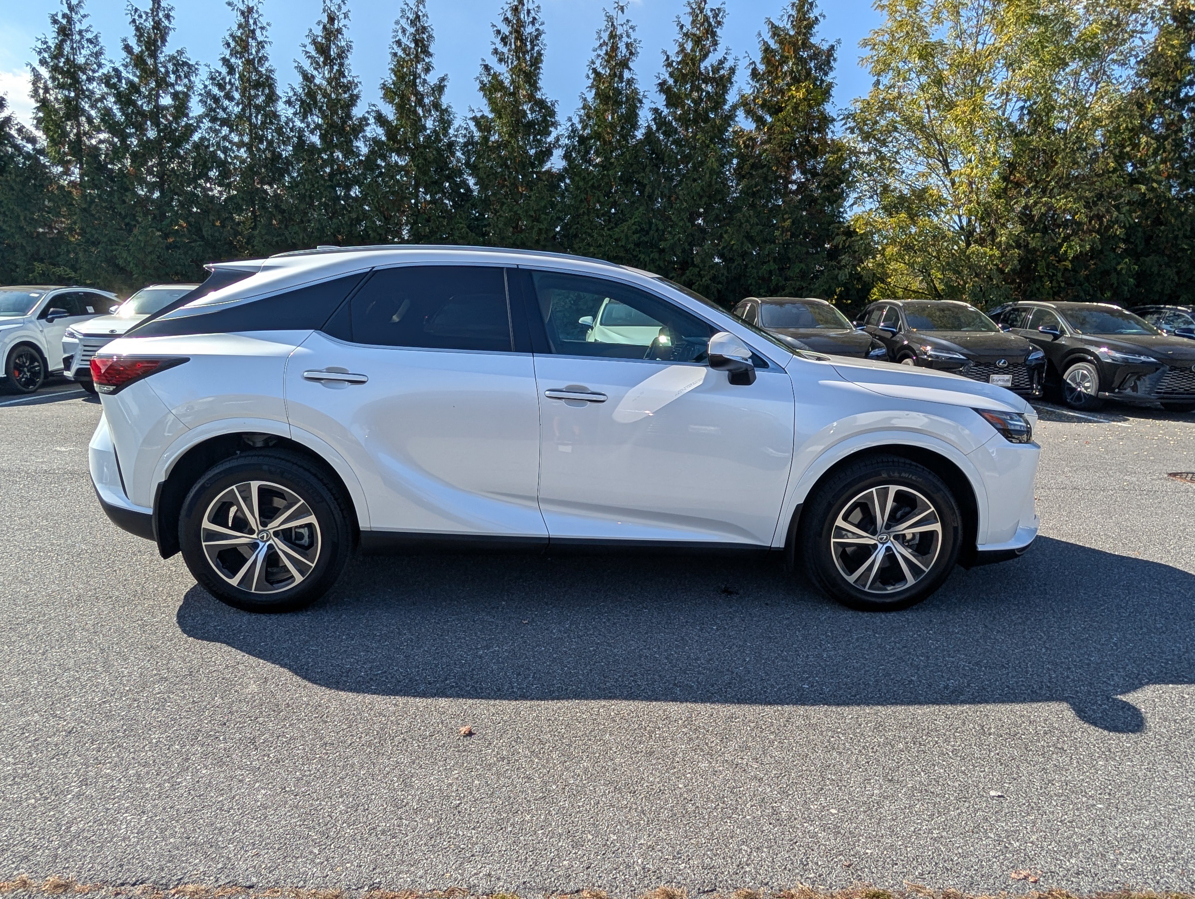 Used 2024 Lexus RX 350 Premium w/ Accessory Package (Z1) AWD/4WD image 2