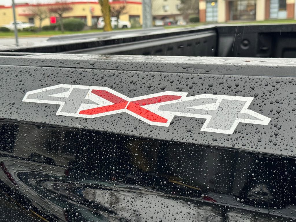 Used 2019 Chevrolet Silverado 1500 LT w/ All-Star Edition image 14