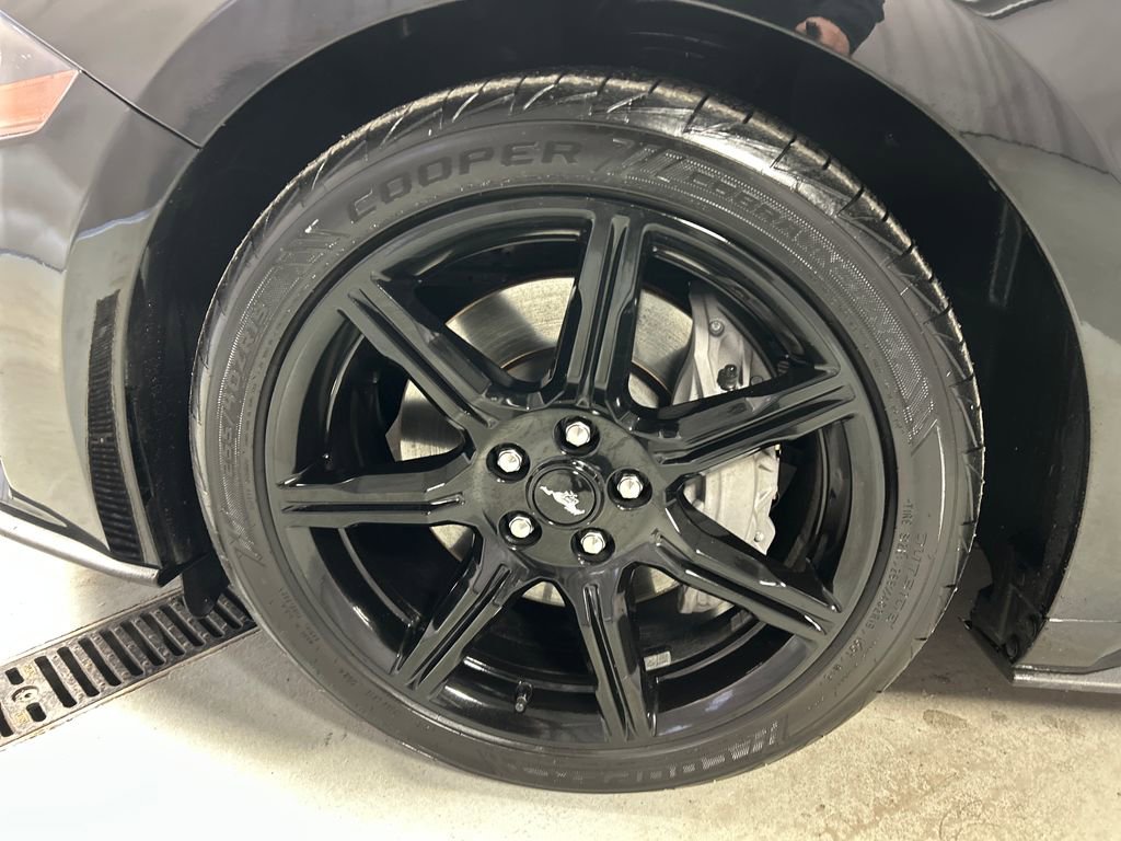 Used 2019 Ford Mustang GT Premium w/ Equipment Group 401A image 9