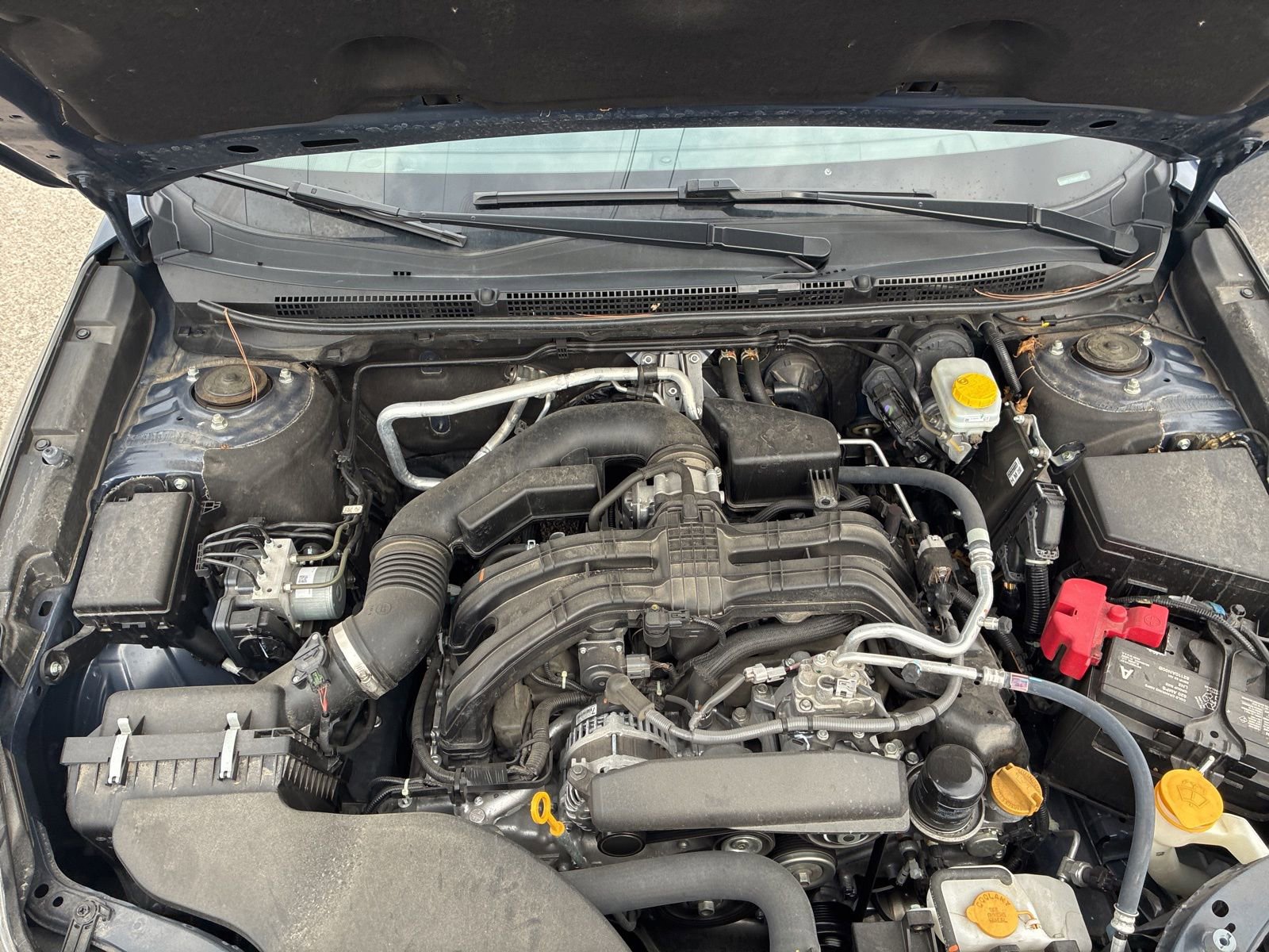 Certified 2024 Subaru Legacy Premium image 13