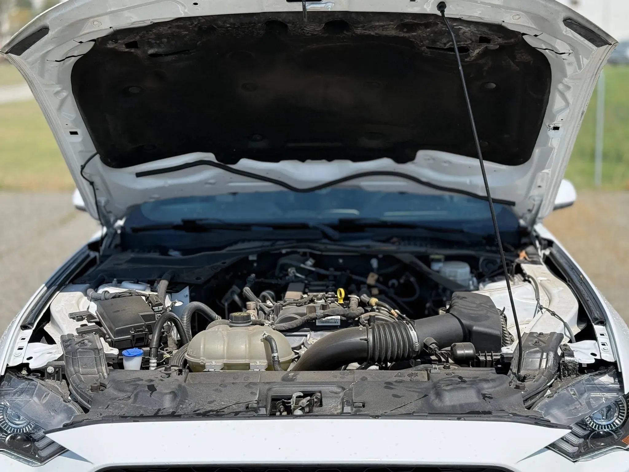 Used 2023 Ford Mustang Premium RWD image 29