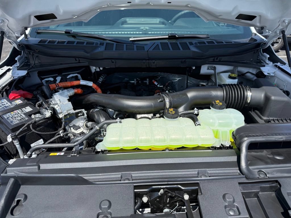 New 2026 Ford F150 STX w/ Equipment Group 200A AWD/4WD image 56