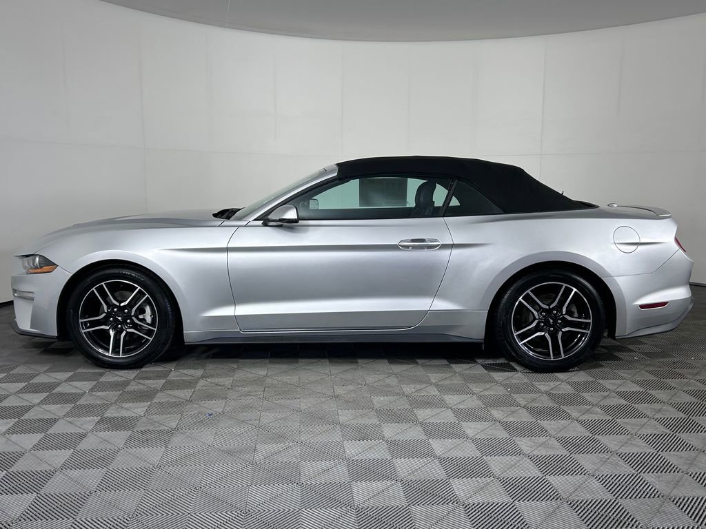 Used 2019 Ford Mustang Premium image 9