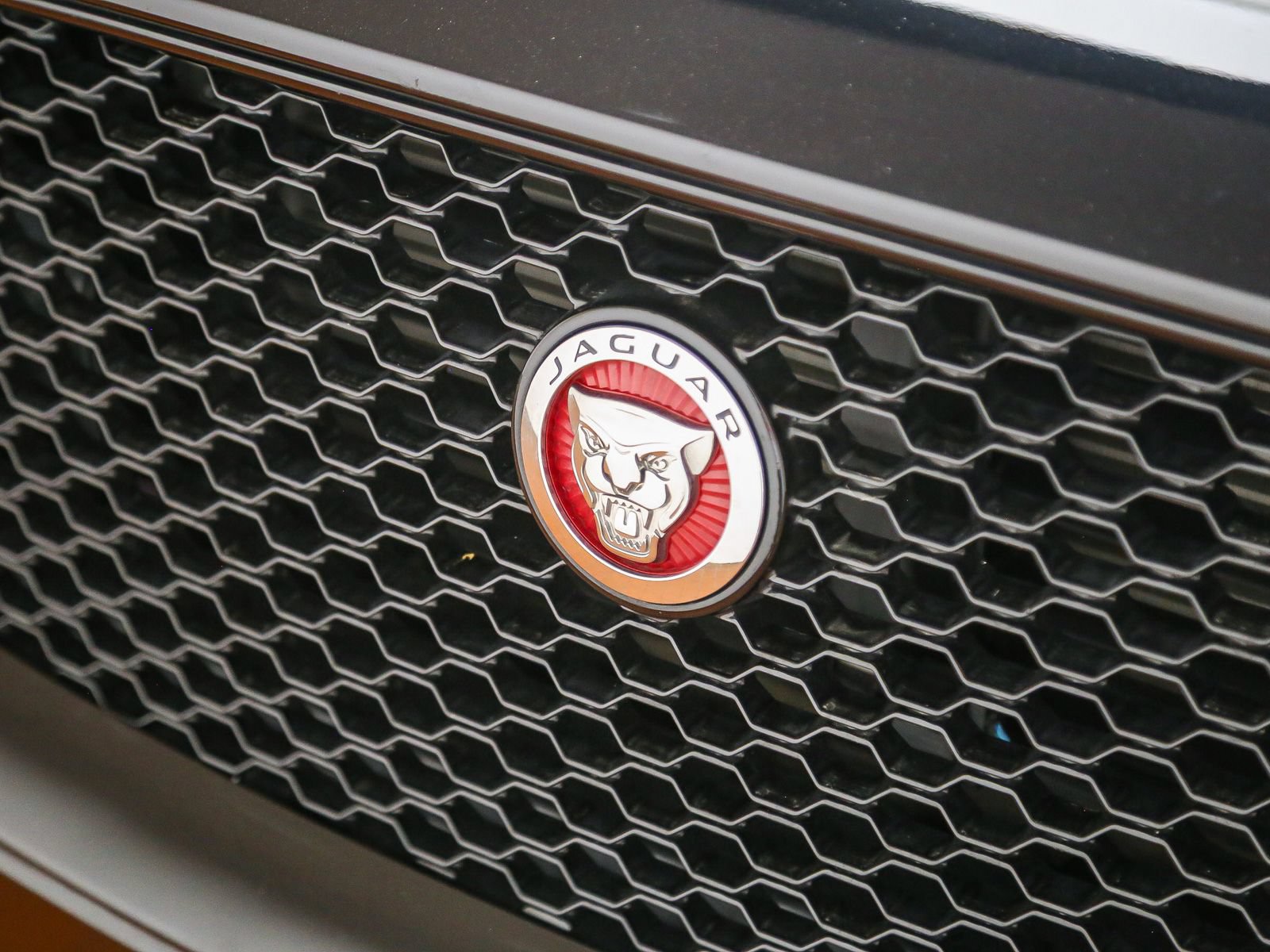 Used 2018 Jaguar F-PACE R-Sport AWD/4WD image 8