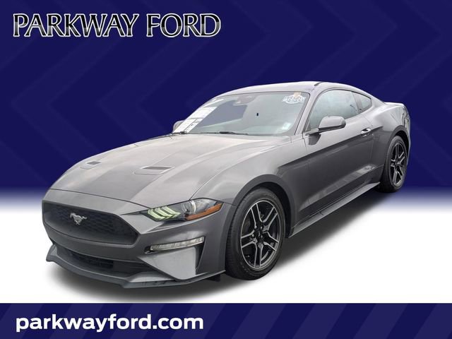 Used 2022 Ford Mustang Coupe w/ Equipment Group 101A RWD video 1