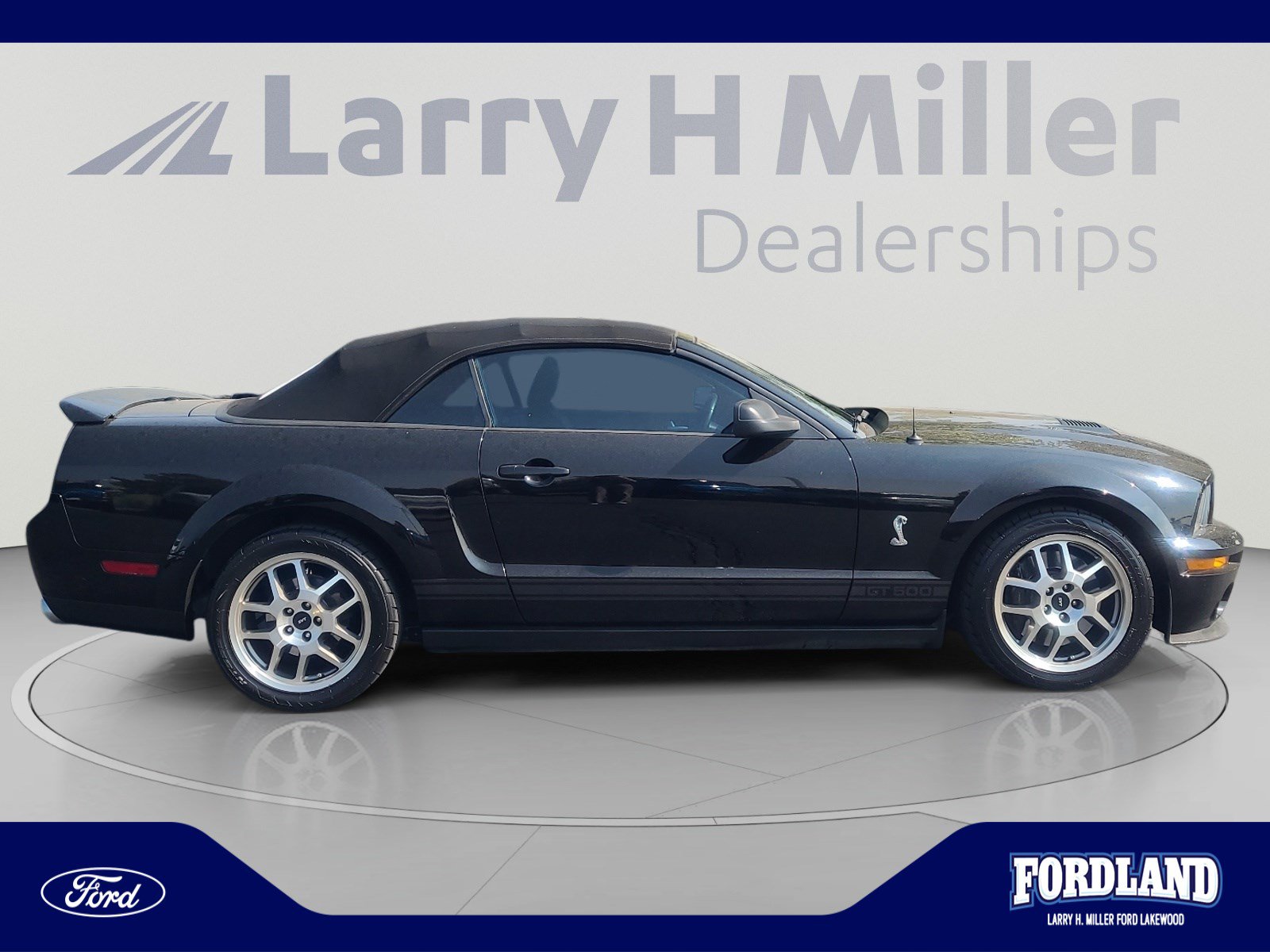 Used 2008 Ford Mustang Shelby GT500 RWD image 6
