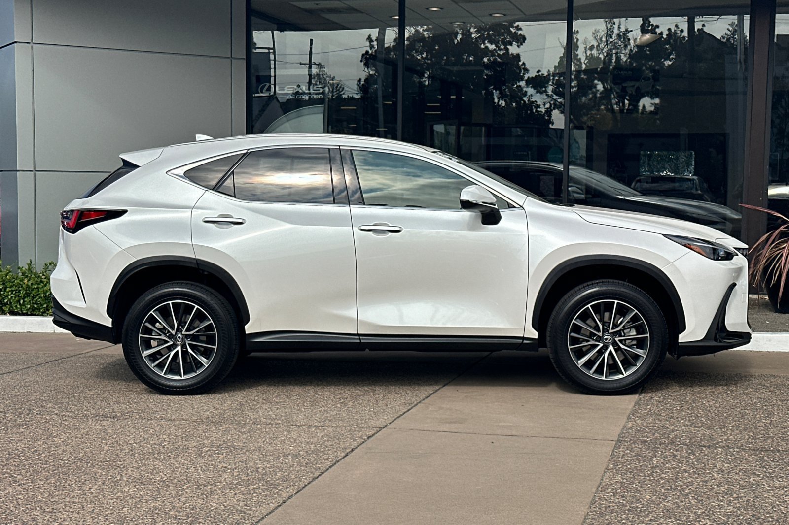 Certified 2025 Lexus NX 250 FWD image 3