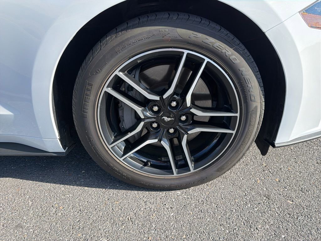 Used 2023 Ford Mustang GT Premium w/ Equipment Group 401A image 10