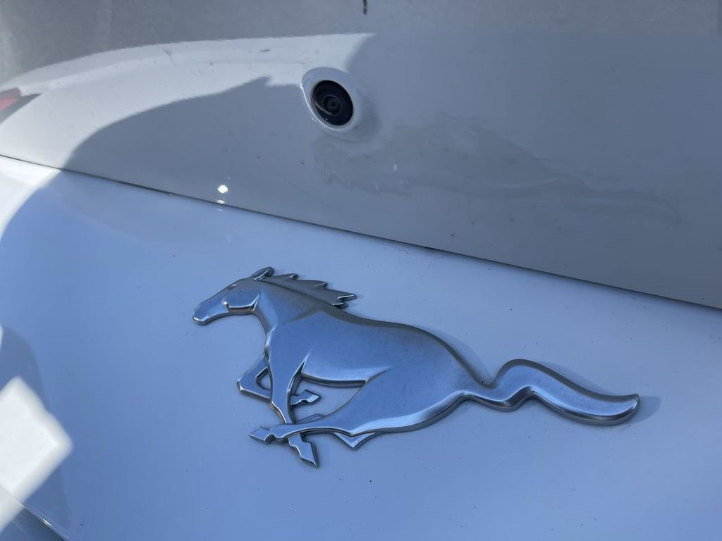 Used 2024 Ford Mustang Premium image 6