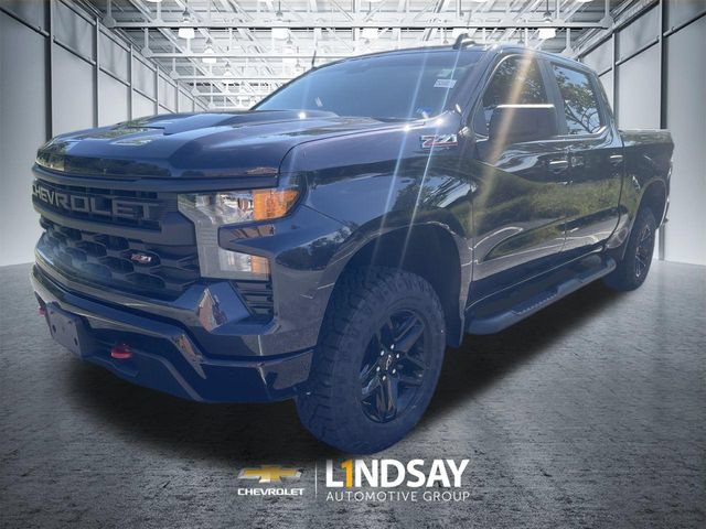Used 2024 Chevrolet Silverado 1500 Custom Trail Boss AWD/4WD image 4